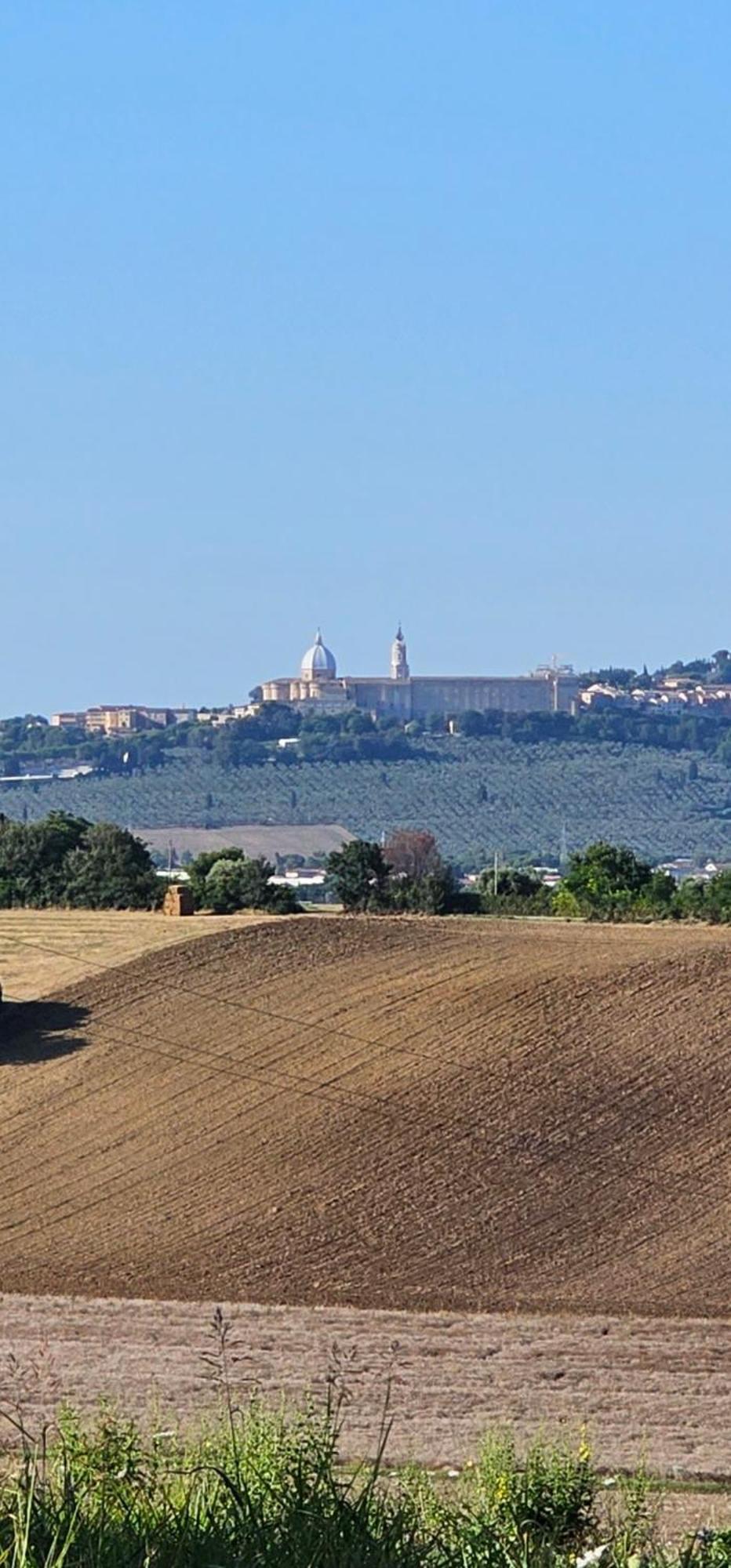 Voglia D'Amare Bed & Breakfast Numana Exterior foto